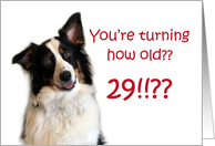 Dog Years, Birthday 29 Years Old card