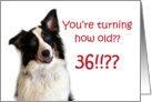 Dog Years, Birthday 36 Years Old card