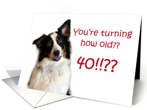 Dog Years, Birthday 40 Years Old card (605306)