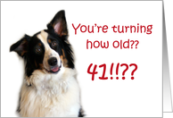 Dog Years, Birthday 41 Years Old card
