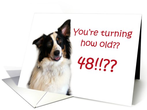 Dog Years, Birthday 48 Years Old card (605317)