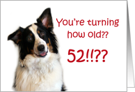 Dog Years, Birthday 52 Years Old card