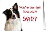 Dog Years, Birthday 54 Years Old card