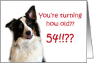 Dog Years, Birthday 54 Years Old card