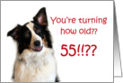 Dog Years, Birthday 55 Years Old card