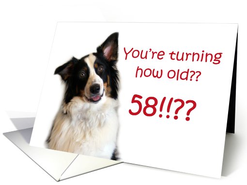 Dog Years, Birthday 58 Years Old card (605328)