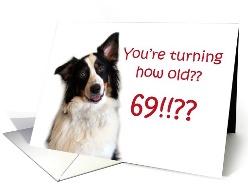 Dog Years, Birthday 69 Years Old card (605351)