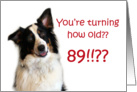 Dog Years, Birthday 89 Years Old card