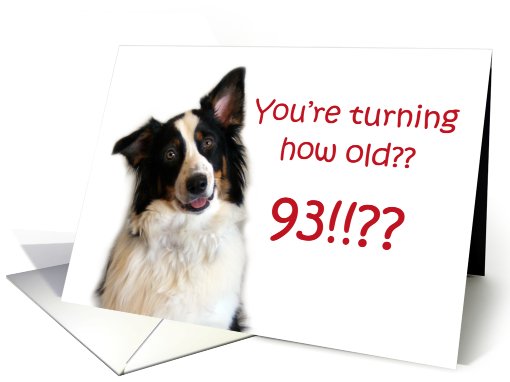 Dog Years, Birthday 93 Years Old card (605423)