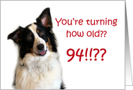 Dog Years, Birthday 94 Years Old card