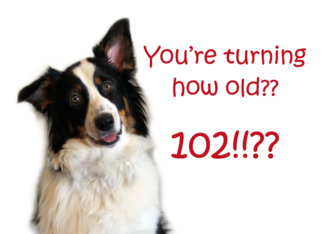 Dog Years, Birthday...