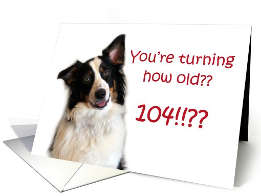 Dog Years, Birthday 104 Years Old card (605435)