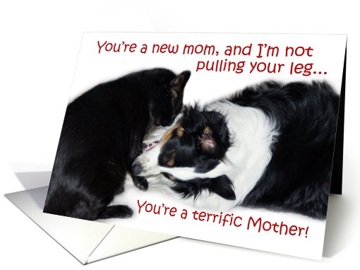 Terrific Mother, New Mom card (606687)