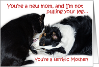 Terrific Mother, New Mom card