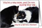 Terrific Mother, New Mom card