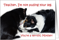 Terrific Mother, Teacher card