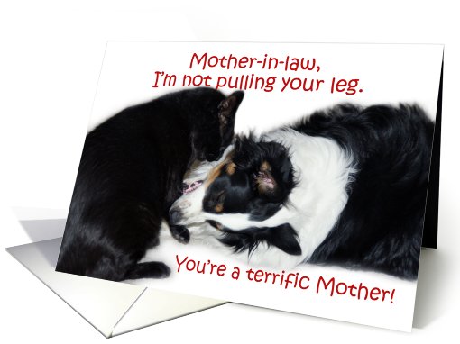 Terrific Mother, Mother-in-law card (606691)