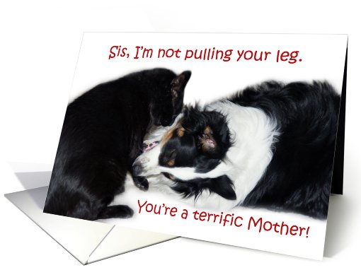 Terrific Mother, Sister card (606703)