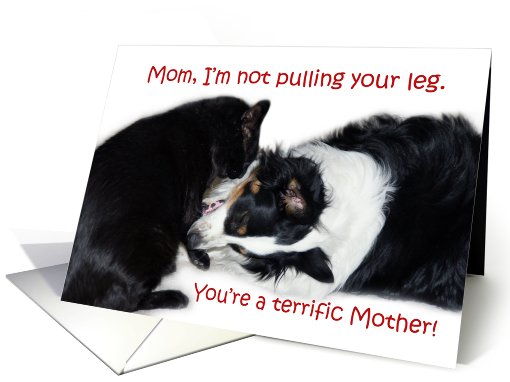 Terrific Mother, Mom card (606704)