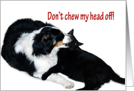 Don’t Chew my head off! card