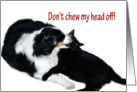 Don’t Chew my head off! card