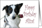 Birthday Rose for Aliza card