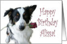 Birthday Rose for Alissa card
