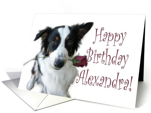 Birthday Rose for Alexandra card (653556)