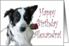 Birthday Rose for Alexandra card