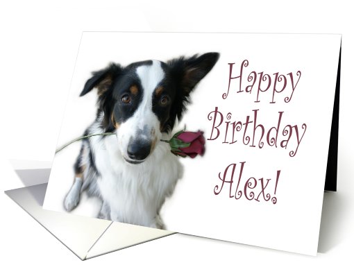 Birthday Rose for Alex card (653557)