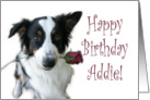 Birthday Rose for Addie card