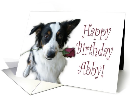 Birthday Rose for Abby card (653572)