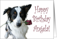 Birthday Rose for Angela card
