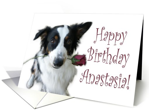 Birthday Rose for Anastasia card (653593)