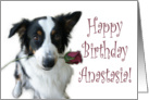 Birthday Rose for Anastasia card