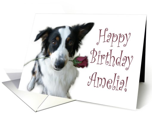 Birthday Rose for Amelia card (653596)