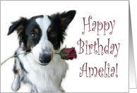 Birthday Rose for Amelia card