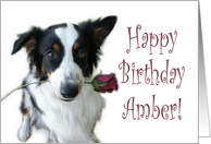 Birthday Rose for Amber card