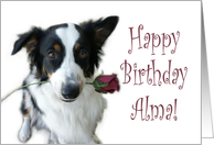 Birthday Rose for Alma card