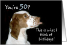 Brittany Spaniel Birthday 50 card
