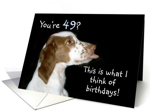 Brittany Spaniel Birthday 49 card (483612)