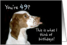 Brittany Spaniel Birthday 49 card