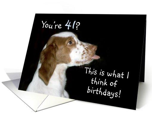 Brittany Spaniel Birthday 41 card (483622)