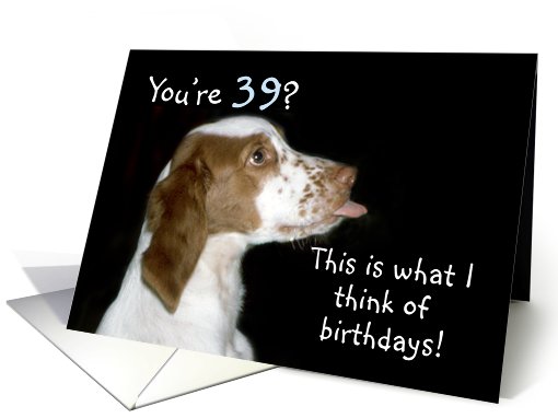 Brittany Spaniel Birthday 39 card (483625)