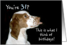 Brittany Spaniel Birthday 31 card