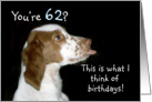 Brittany Spaniel Birthday 62 card