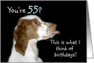 Brittany Spaniel Birthday 55 card