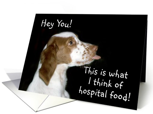 Brittany Spaniel Get Well card (483664)