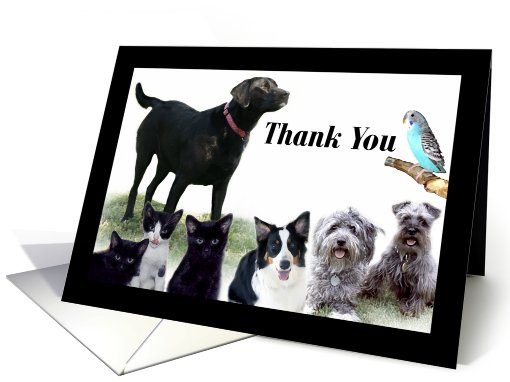 Vet Card Thank You card (493116)