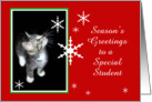 Kitten and Snowflakes, Student card